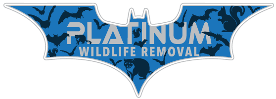 Wildlife Removal Switzerland County
